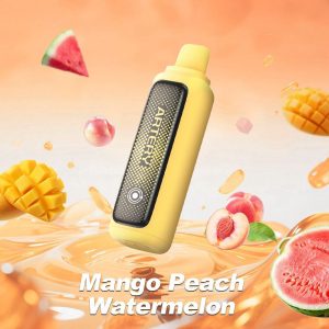 Artery CL2 10000 - Mango Peach Watermelon